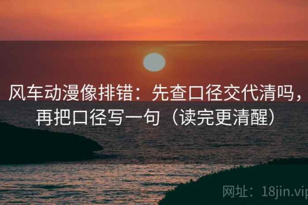风车动漫像排错：先查口径交代清吗，再把口径写一句（读完更清醒）